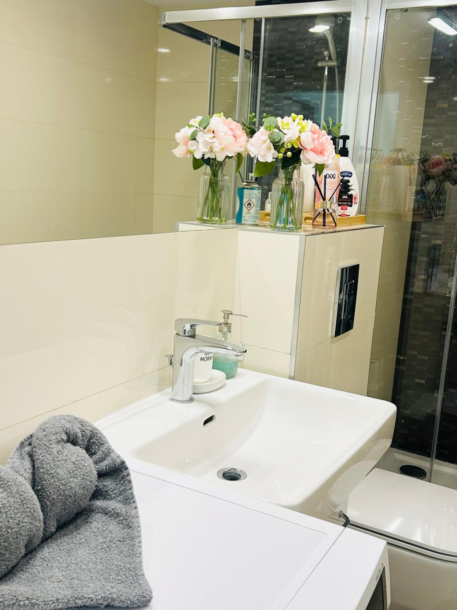 New Design & Style Apartments 50M From Wenceslas Square Prague Ngoại thất bức ảnh